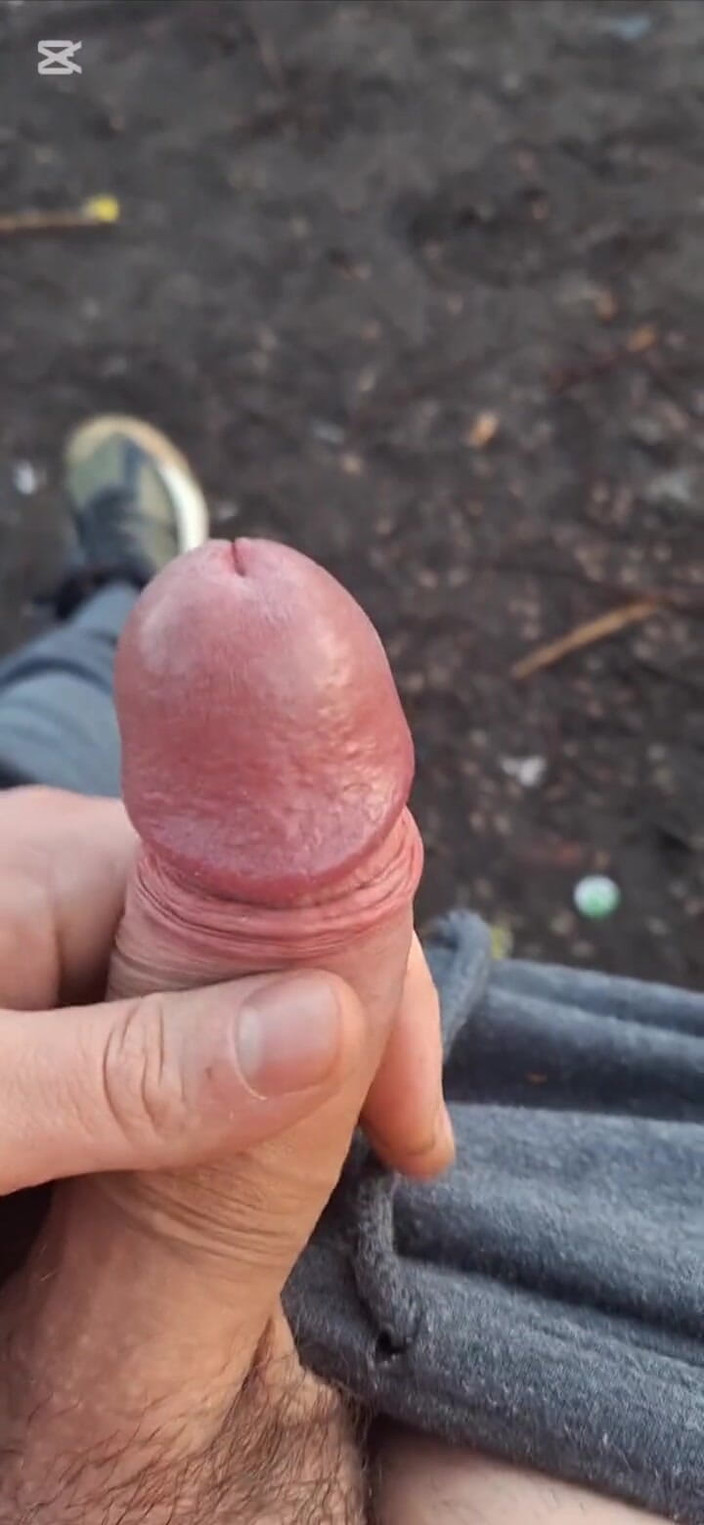 TimiTimy: Poza parkiem