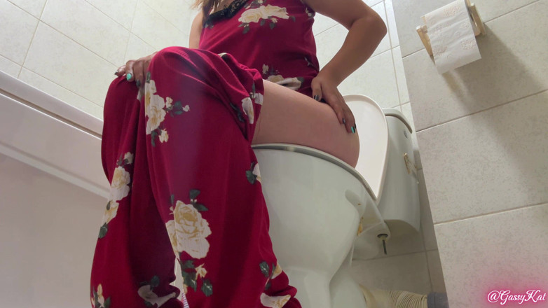 GassyKat: Het dagelijkse toilet seizoen 3 aflevering 3