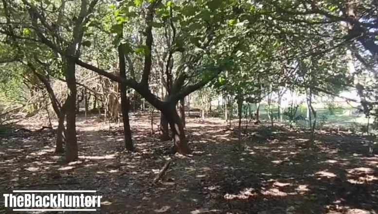 TheBlacKHunterr: Můj kolega v parku