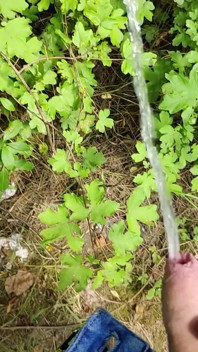 Outdoor Piss