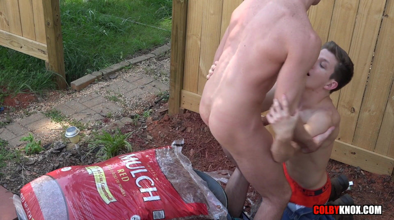 Colby Knox: Arbeite seinen arsch ab