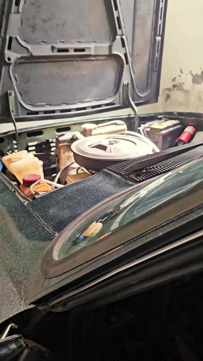 M4ndy: Opala шалит утром и брызгает