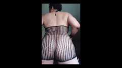 KNKY Bee: Decided to Put Together