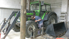 BBW Zone: Tattooed bbw sucking dick and getting cunt drilled by it...