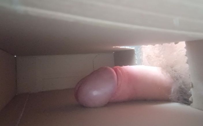 Ed Eden: Dick in Box