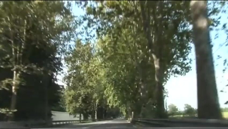 Real Home Made: Pulă matură în gagică sexy în dormitor