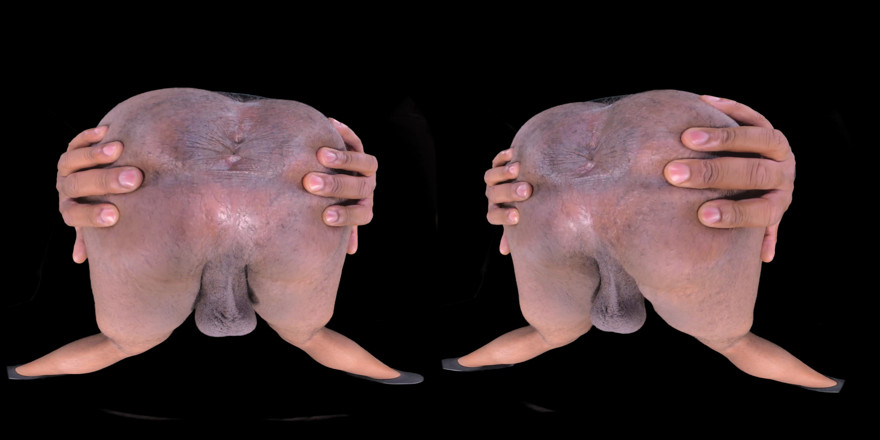 Manhole VR - Indian Hairy Crack & Balls: Hinternloch zum abspritzen!