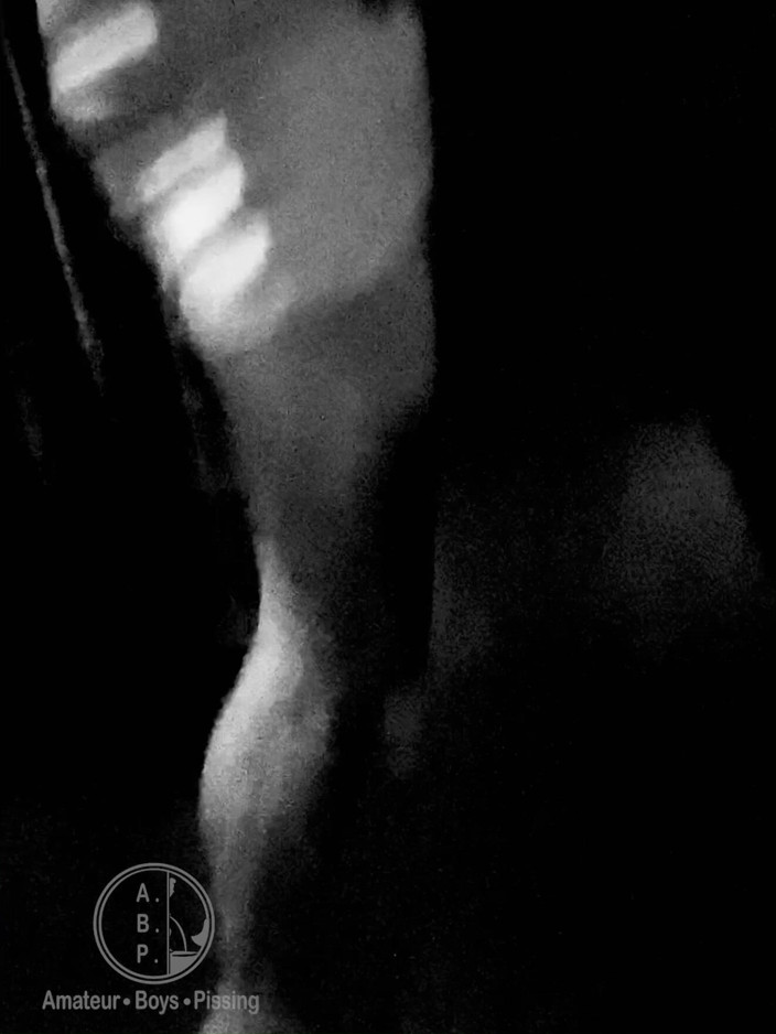 AmateurBoysPissing: Rencontre amateur rapide dans des toilettes publiques - un mec suce...