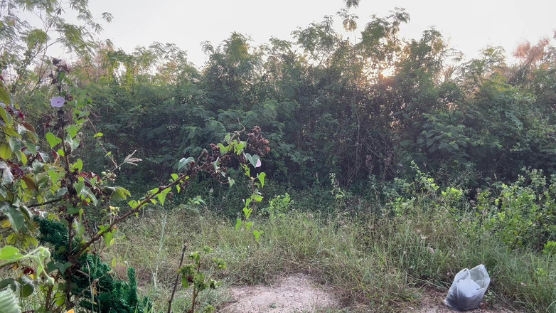 SinglePlayerBKK: Weihnachtsmann muss den Weihnachtsbaum finden.