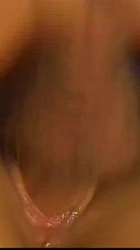 Rocco revishes - capítulo porno de la vieja usa # 01