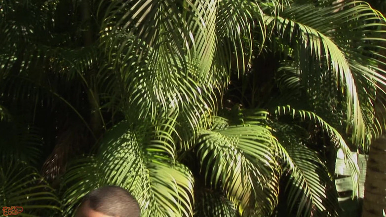 Papi Cock: Caramel D - tropis jacking