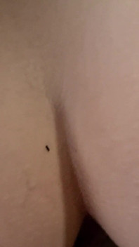 First Home DP! Toy Anal, Dick Pussy