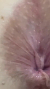 Face Down, Ass up and Spread Those Cheeks, Trust Me Youre Gonna Want the Lube