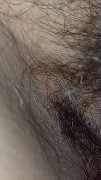 Hairy Pussy Shorts