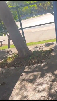 ¡mi Mujer Se Pone En Público En El Parque!