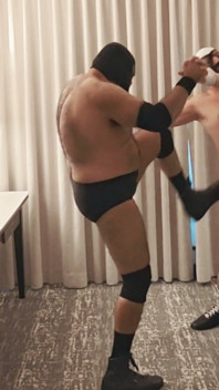 Bearops übernimmt wrestling-rollenspiel im hotelzimmer