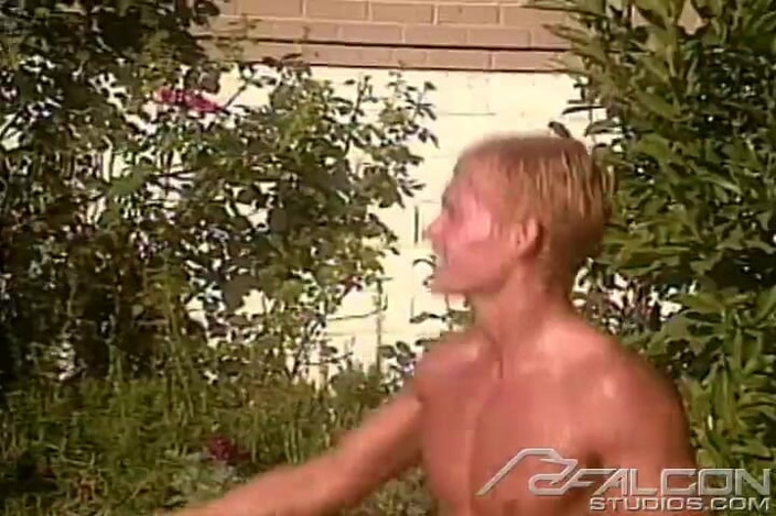 Falcon Studios: Summer Fever