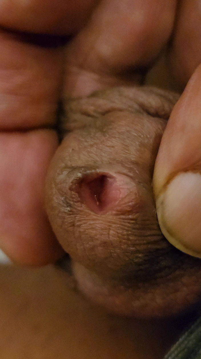 princeundertaker834: 8K Nude Show