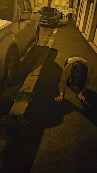 美女荡妇宠物