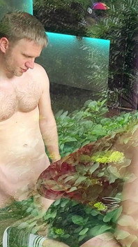 Anal Fuck in the Window
