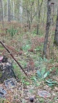 Seorang penyihir hutan melakukan ritual, menggoda seorang lelaki dan mengongkeknya