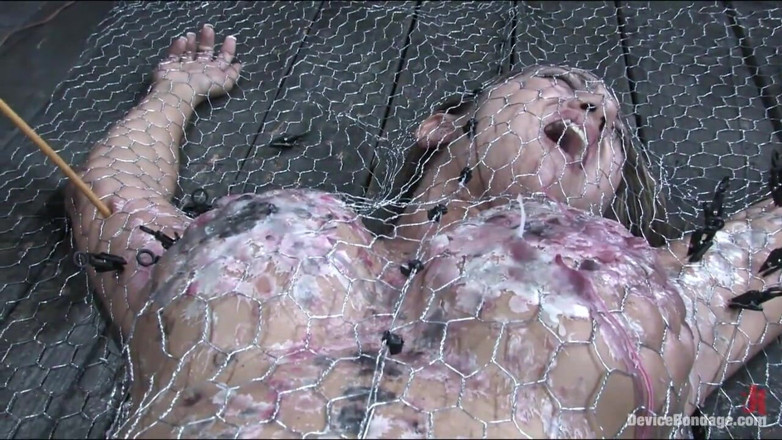 Device Bondage by Kink: Penned in