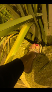 My Feet
