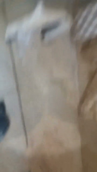 Latin Human Toilet Doing Her Piss in Mouth Job to Husband