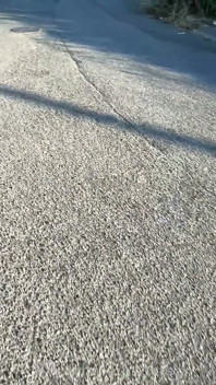 Des Potes Hétéros Amateurs Se Chauffent Dans La Rue