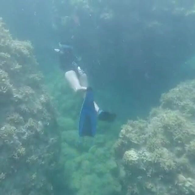 creamberryfairy: 이마 인어공주