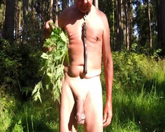 Andy: Nettle Play di Dalam Hutan