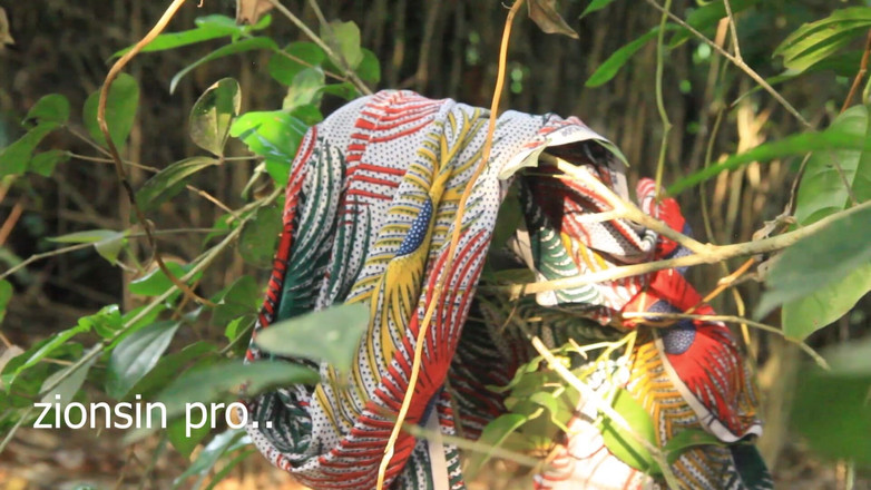 Zion: ウガンダの非常に黒人の男は、彼らの農地でティーンの大きなおっぱいのガールフレンドをファックします