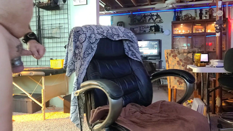 City hog: 로버와 함께하는 즐거운 오후