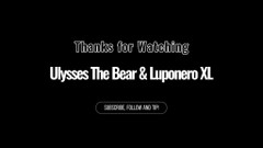Ulysses the bear: 意大利熊和狼激情翻转操逼 第2部分