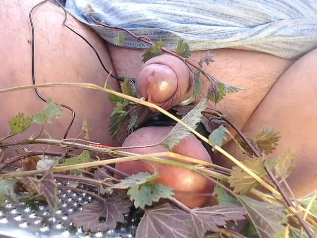 Gaylectrician: Isırgan otu ile eğlence