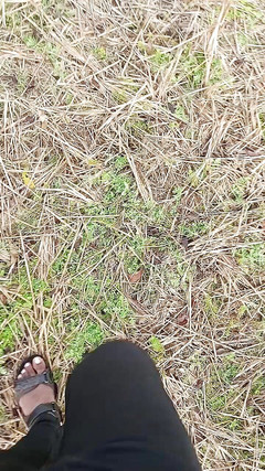 Indoor ally: Jija saali rừng tập- 1