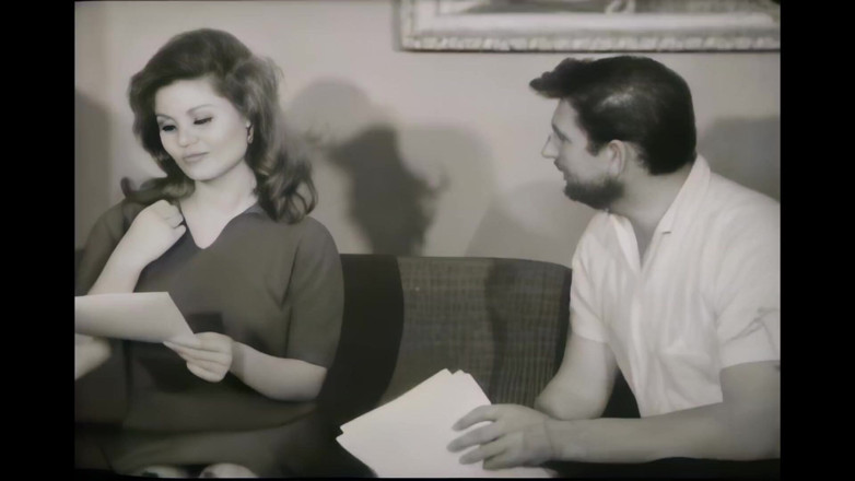 Vintage Usa: Prédateurs De Chattes Noires Et Blanches