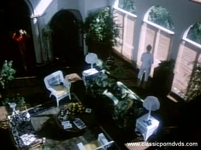 Classic Porn DVDs: クラシックポルノDVD『マリリン・チェンバース』 インティアバブルP