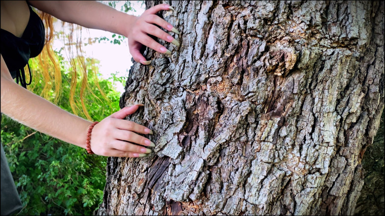 Goddess Li: Długie, naturalne paznokcie drapiące drzewo