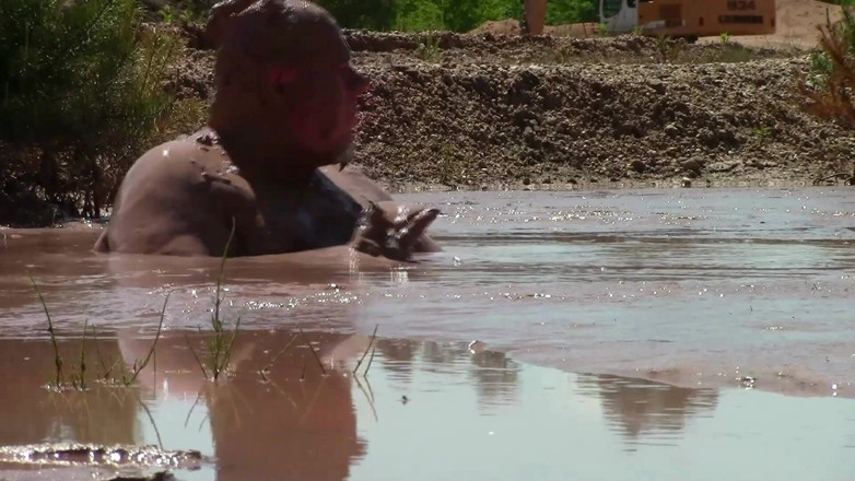 Muddy chubby: गहरी, मलाईदार, भूरी मिट्टी के साथ रेत के गड्ढे में मिट्टी का स्नान।