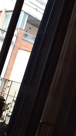 Beehive: Melalui jendela