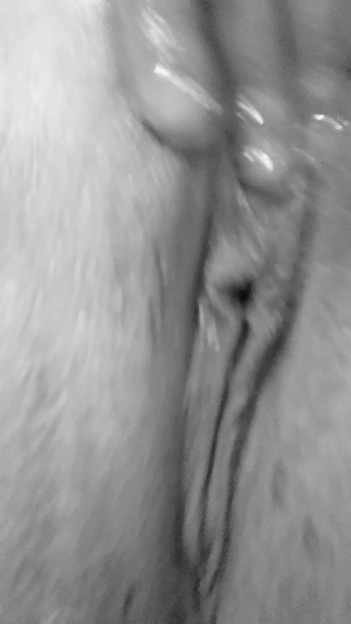 Misses Dickinson and Roughael: Masturbación de coño aceitado