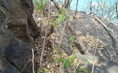 Teacher Enjoying Outdoor Romance