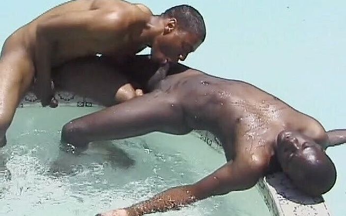 Bareback TV: 黑人同性恋者在游泳池里激情地猛烈抨击
