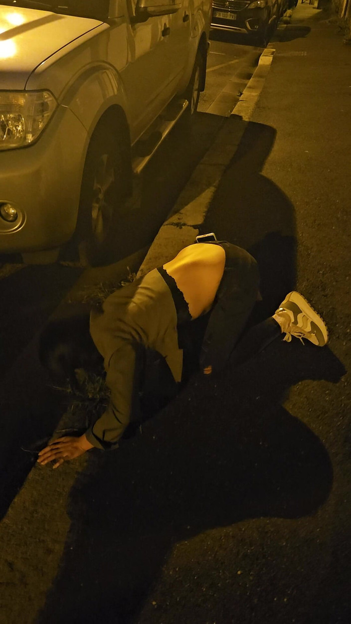 J and rose: Frumoasa curvă pet