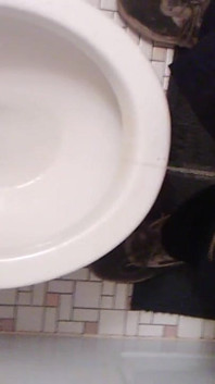 POV Standing up as I Piss