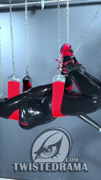 Hog Tied Swing