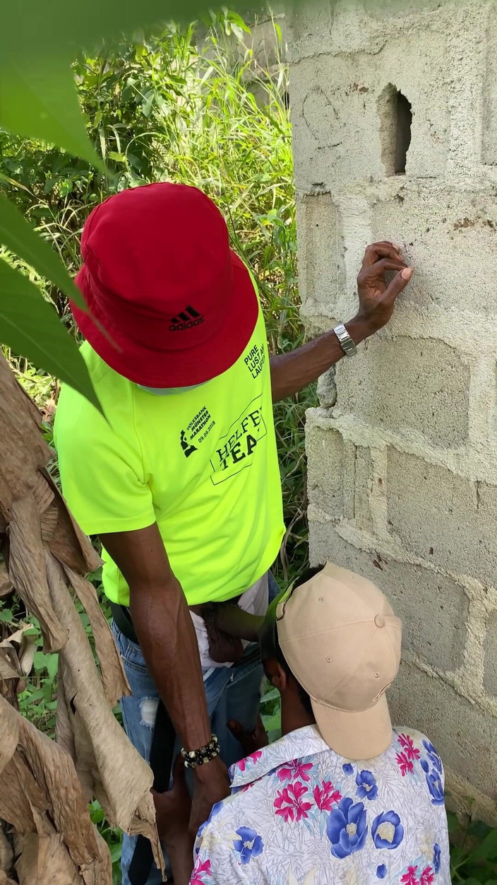 Arola7: Saklambaç çalı sikişi