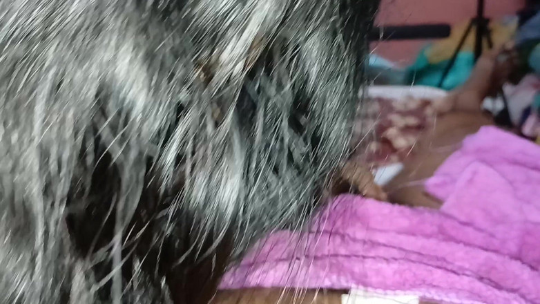 Apple Porn: 我的继兄弟抚摸我的大奶子，我抚摸他的大鸡巴必须观看