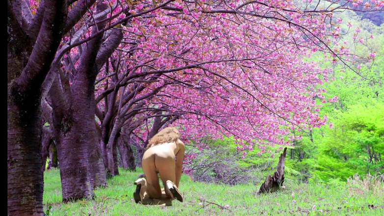 Pai-chan: Primavera fiorita